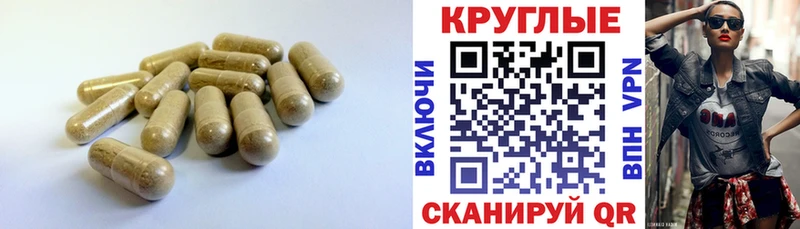 гидра зеркало  Ставрополь  Ecstasy Philipp Plein 