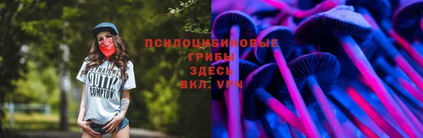 СК Алексин