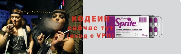 сатива Ельня
