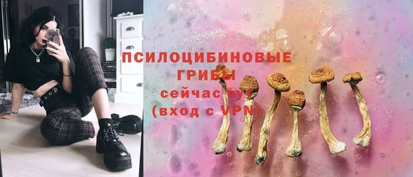 СК Алзамай