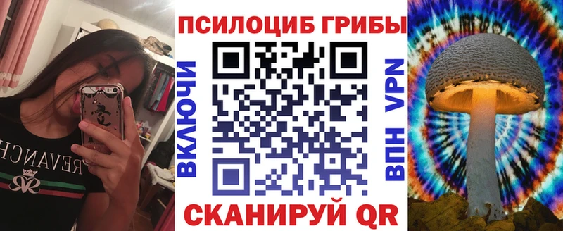 Псилоцибиновые грибы GOLDEN TEACHER  Ставрополь 